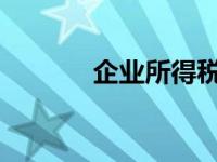 企业所得税纳税人的全面解析