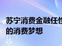 苏宁消费金融任性付：一站式金融服务满足您的消费梦想