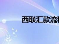 西联汇款流程详解：一站式指南