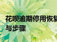 花呗逾期停用恢复指南：重启花呗功能的方法与步骤