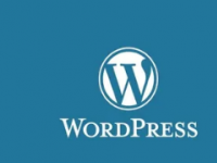 这个高级WordPress插件可能会让黑客劫持您的网站